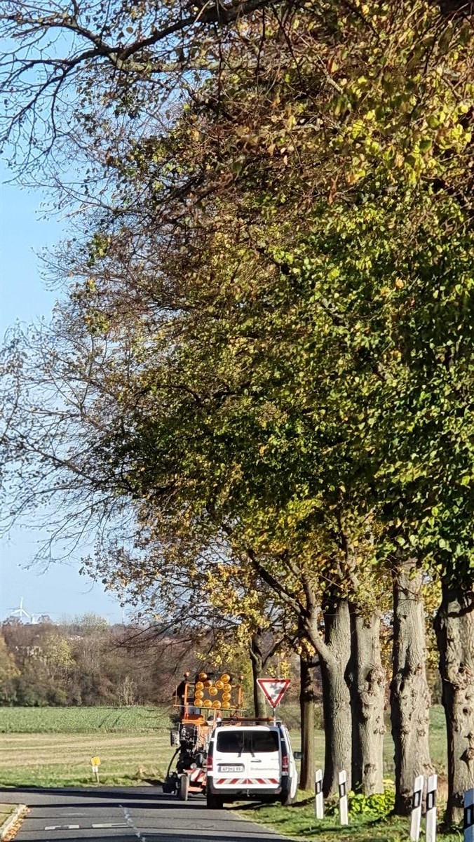 Véhicule d'intervention avec flèche lumineuse et signalisation routière pour travaux arboricoles