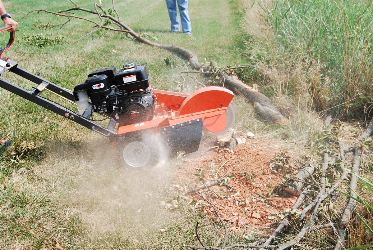 Rogneuse compacte orange Honda grignotant une souche d'arbre en plein air sur herbe